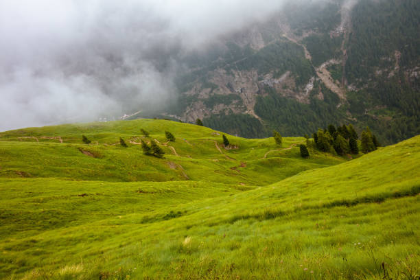 Summer time in Dolomites. landscape with hills, grass, trees and fog.