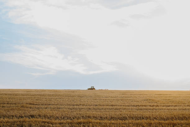 istock A modern tractor with a heavy trailed disc harrow plows a wheat field at sunset. 1635745705
