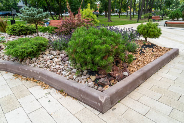 istock Evergreen thuja, pine trees, hydrangea and rhododendron with barberry on sunny summer day are planted among stones along tiled sidewalk in landscape design at city park 1635751187