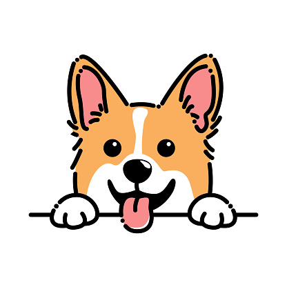 Cute pembroke welsh corgi puppy cartoon, vector illustration