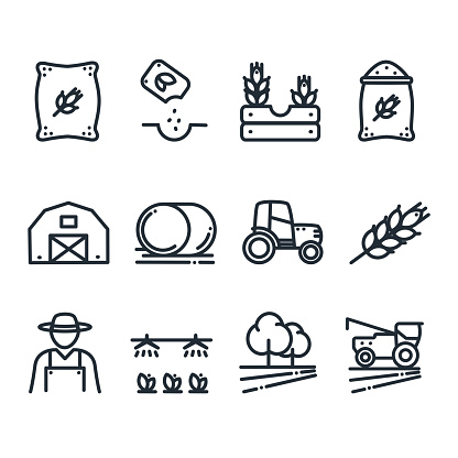 Set of agriculture and farming Icons. Farmers, harvester truck, tractor,  wheat, bag of wheat, barn; grain, harvest, watering, cereal, harvester, hay bale, bag flour, irrigation.