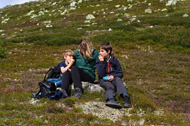 мать с детьми сидят на валуне и едят фрукты во время прогулки в горах - sibling sweden family smiling стоковые фото и изображения