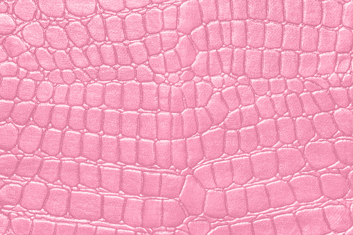 pink l almost white crocodile reptile skin used as a backing for your design