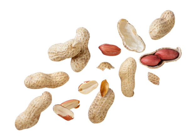 istock Nuts peanuts in shell and without are flying on a white. Isolated 1635855500