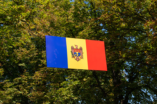 The state flag of the Republic of Moldova hoisted in public space, on the streets, against the background of tree branches with leaves.