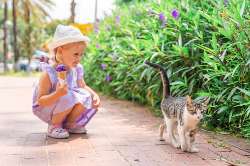 Little girl playing with stray street cat in summer Alanya, Turkey. High quality photo