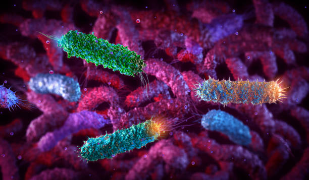 sfondo medico patogeno a forma di bastoncello e.coli salmonella batteri. - colorazione di gram foto e immagini stock