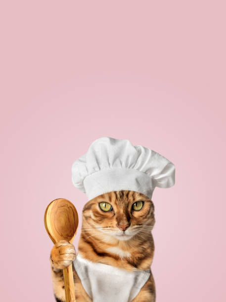 istock Ginger cat - cook at the pink wall. 1635924804