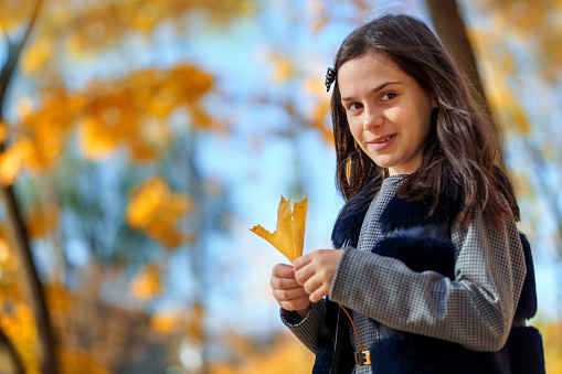 the girl is walking in the autumn city park, she is happy and enjoys the beautiful nature, holding yellow maple leaves in her hands, a bright sunny day