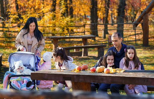big family has picnic in autumn city park, children and parents sitting together at the table, with apples and yellow maple leaves, happy people enjoying beautiful nature, bright sunny day