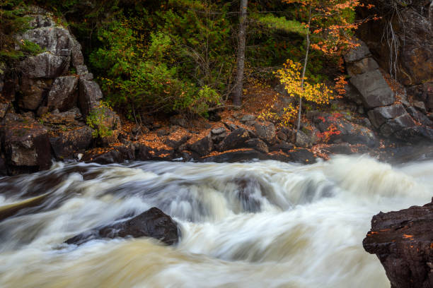 istock Fast flowing water in a river through a forest in autumn 1635972252