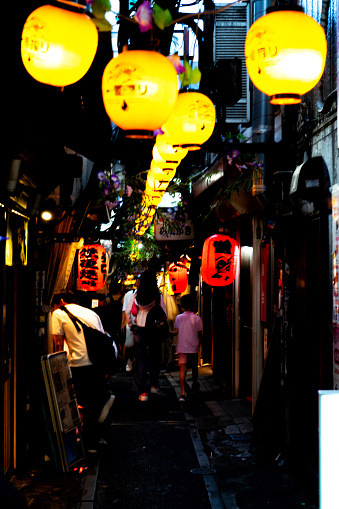 Omoide Yokocho, memory lane, was once a seedy lane with bars. Now it is one of the attractions of Tokyo, Japan