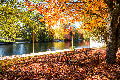 Picnic table covered with fallen leaves in a waterfront park on a sunny autumn day.  Baysville, ON, Canada.