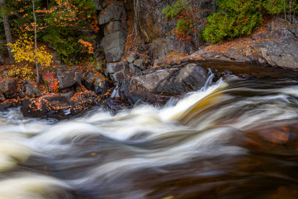 Rushing river in a forest in autumn
