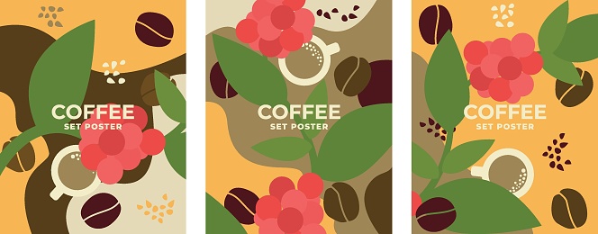 Coffee design poster set. Vector drawing coffee tree and coffee grains. Poster, banner, flyer template. Vector drawing, design elements.