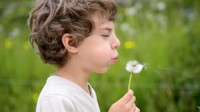 Little Boy Blowing Dandelions