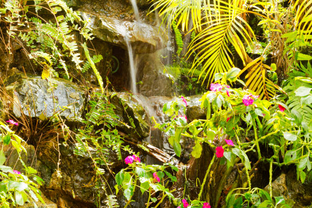 istock Close-up of small artificial waterfall with plants 1635988009