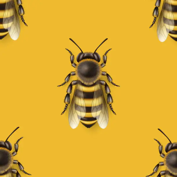 Vector illustration of Vector Seamless Pattern with 3d Realistic Detailed Honey Bee Icon Closeup on Yellow Background. Queen Honeybee Design Template, Vector Illustration of Bee in Macro, Top View