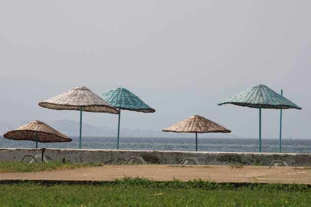 istock wicker beach umbrella on the beach.
Beach and umbrellas on the beach. 1636010151