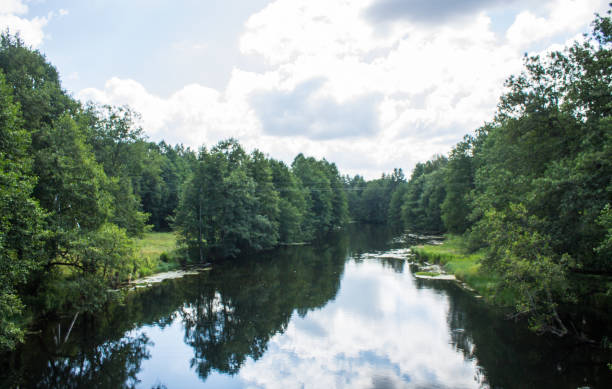 istock beautiful river with mud and algae among green banks 1636029147