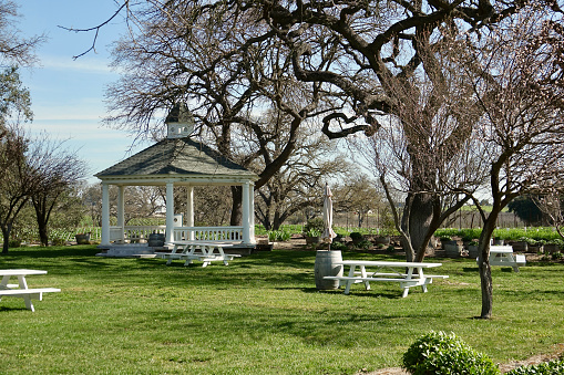 Gazebo in the sunny grass field with scattered picnic tables