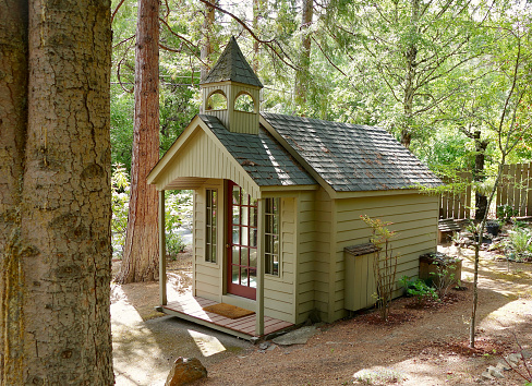 Tiny little chapel in the redwood forest