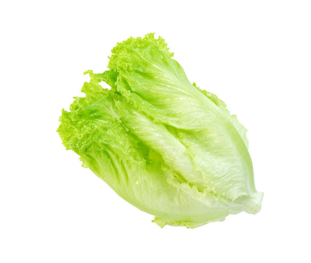 istock Lettuce leaf isolated on white background ,Green leaves pattern ,Salad ingredient 1636061052