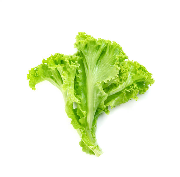 istock Lettuce leaf isolated on white background ,Green leaves pattern ,Salad ingredient 1636064957