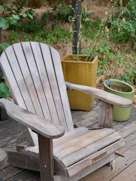 istock Wooden chair in the wilderness 1636074732