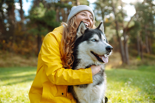 Beautiful young woman in a hat and yellow coat walks with her husky on the lawn in the park. Happy female posing outdoors with her dog. Concept of friendship, vacation, walk.