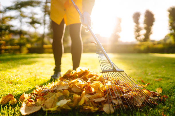 160+ Yard Waste Cart Stock Photos, Pictures & Royalty-Free Images - iStock