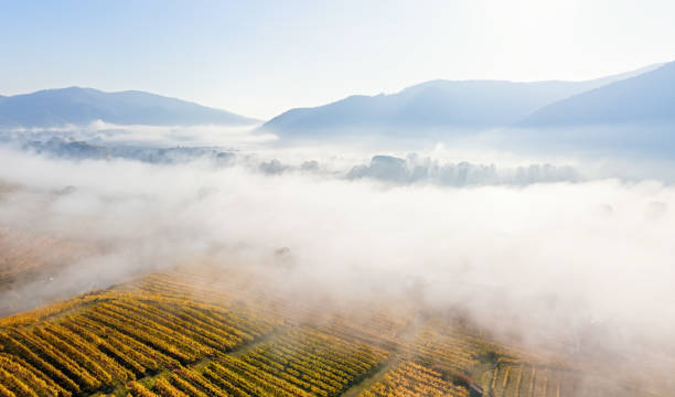 Panorama aéreo da neblina matinal sobre o rio Danúbio. Weisenkirchen em der Wachau, Áustria - foto de acervo