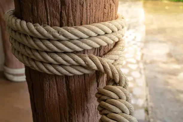 Photo of Rope with log.