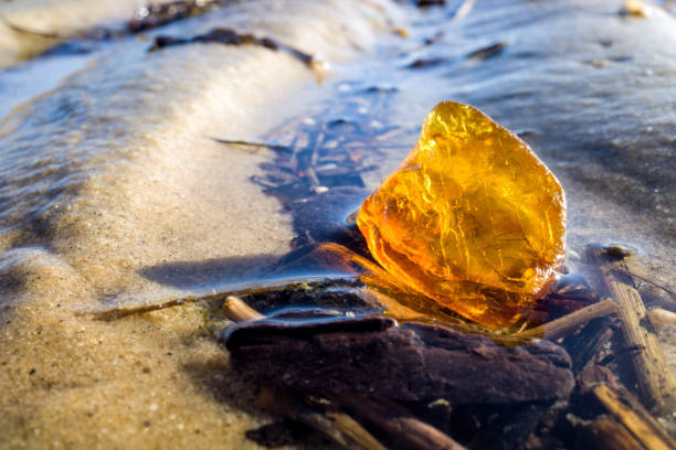 istock amber in the Wadden Sea in Cuxhaven, Germany 1636181772