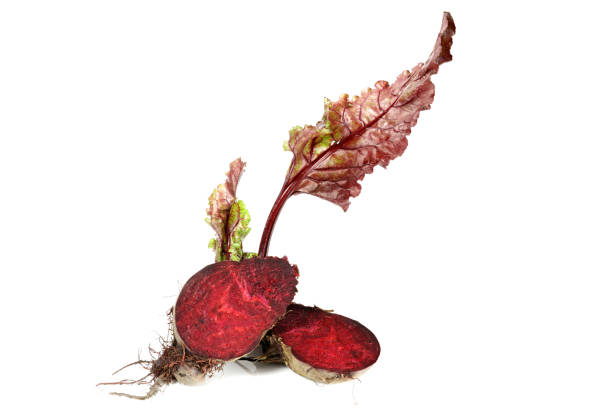 Free picture: beetroot, cross section, green leaves, half, roots, food ...