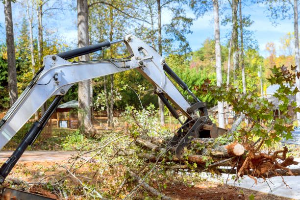 Skid steer tractor aids in a tree clearing for housing complex construction during landscaping