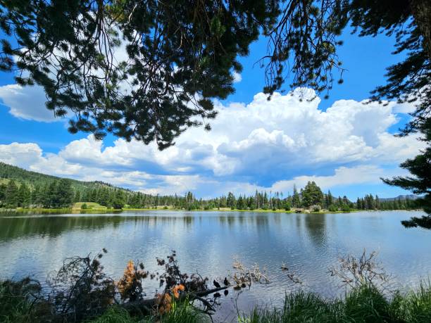 istock Sprague Lake in the Rocky Mountains 1636231447