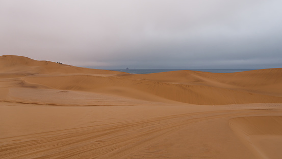 Sunrise casting shadows over over uniquely shaped golden desert sand dunes in Western Australia.