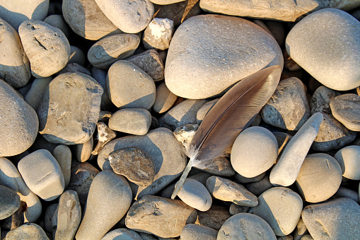Catawba smooth rock beach on Lake Erie in Ohio, USA - smooth rocks and a feather, background