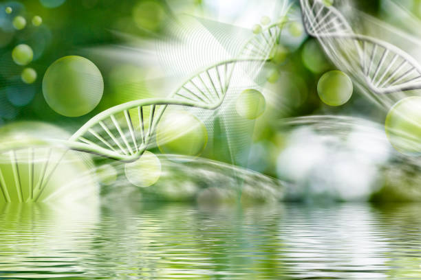 istock image consisting of various stylized DNA chains in space along with balls and the reflection of all this in the water surface 1636259854