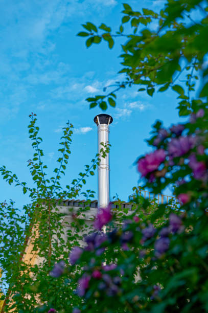 View through bushes and flowers to a stainless steel chimney.
