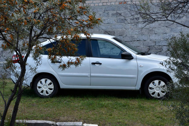 istock A white car in a summer garden between rowan bushes. 1636343920