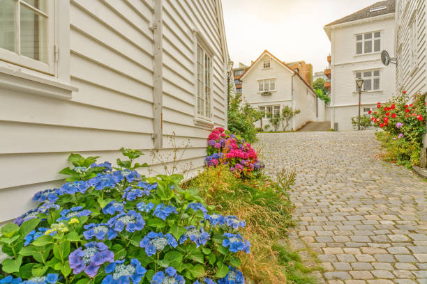 Gamle Stavanger, or Old Stavanger-Straen buildings date from 1820-1870. Merchants built their homes along the seafront behind the wharves. The smaller cottages were home to tradesmen and sailors.