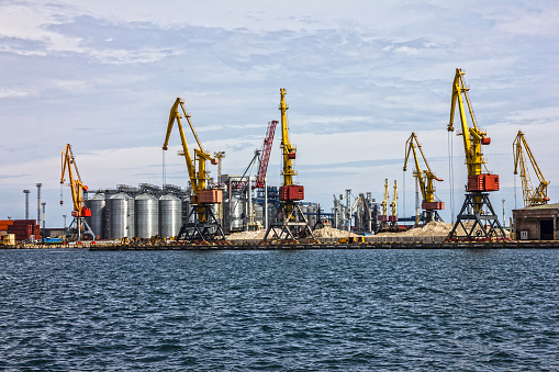 Industrial sea port cranes, terminal for bulk grain cargo