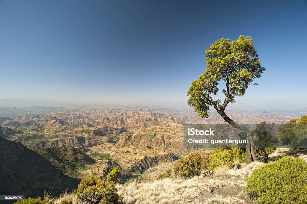 Simien-Gebirge in Äthiopien - Lizenzfrei Äthiopien Stock-Foto