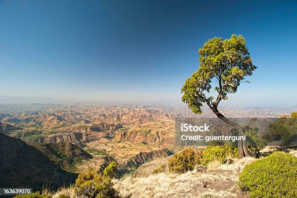 Montañas Simien En Etiopía Foto de stock y más banco de imágenes de Etiopía - Etiopía, Montañas Simien, Paisaje no urbano