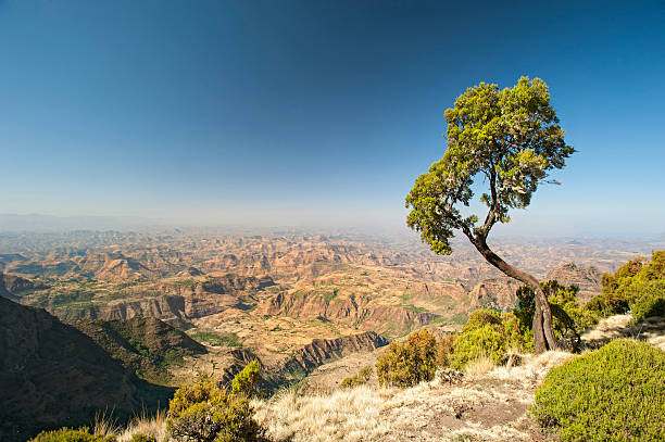 A large and wide mountain range in Ethiopia  Panoramic view of the Simien Mountains in Northern Ethiopia. ethiopia photos stock pictures, royalty-free photos & images