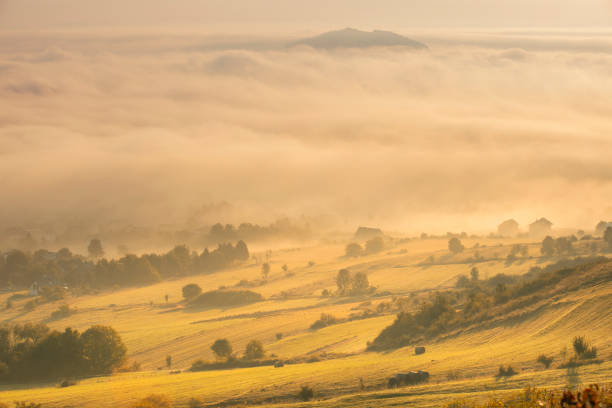 istock Misty sunrise in the mountains 1636395057