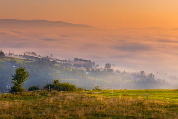 istock Misty sunrise in the mountains 1636395060