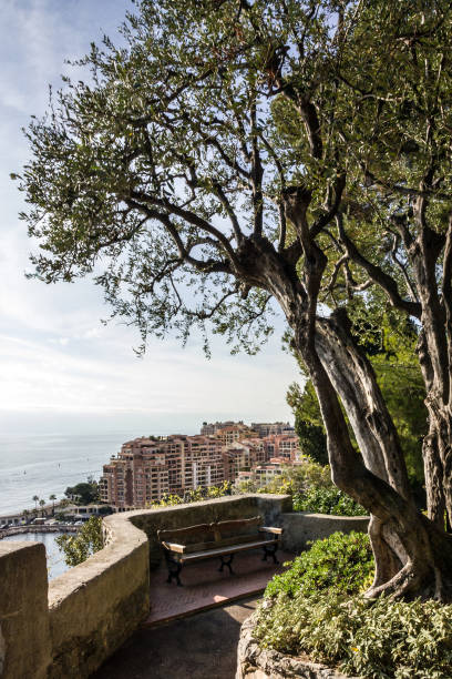 istock Monaco and Monte Carlo principality 1636409134